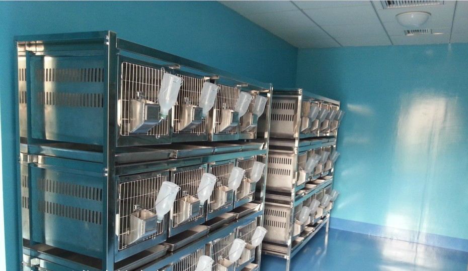 ����spf��ʵ�鶯�﷿��ƽ���