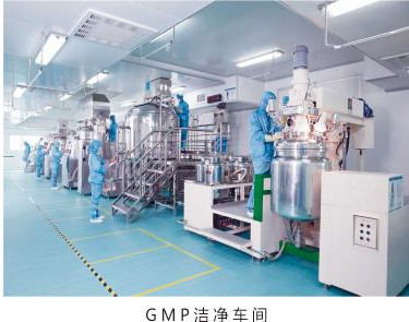 GMP��������